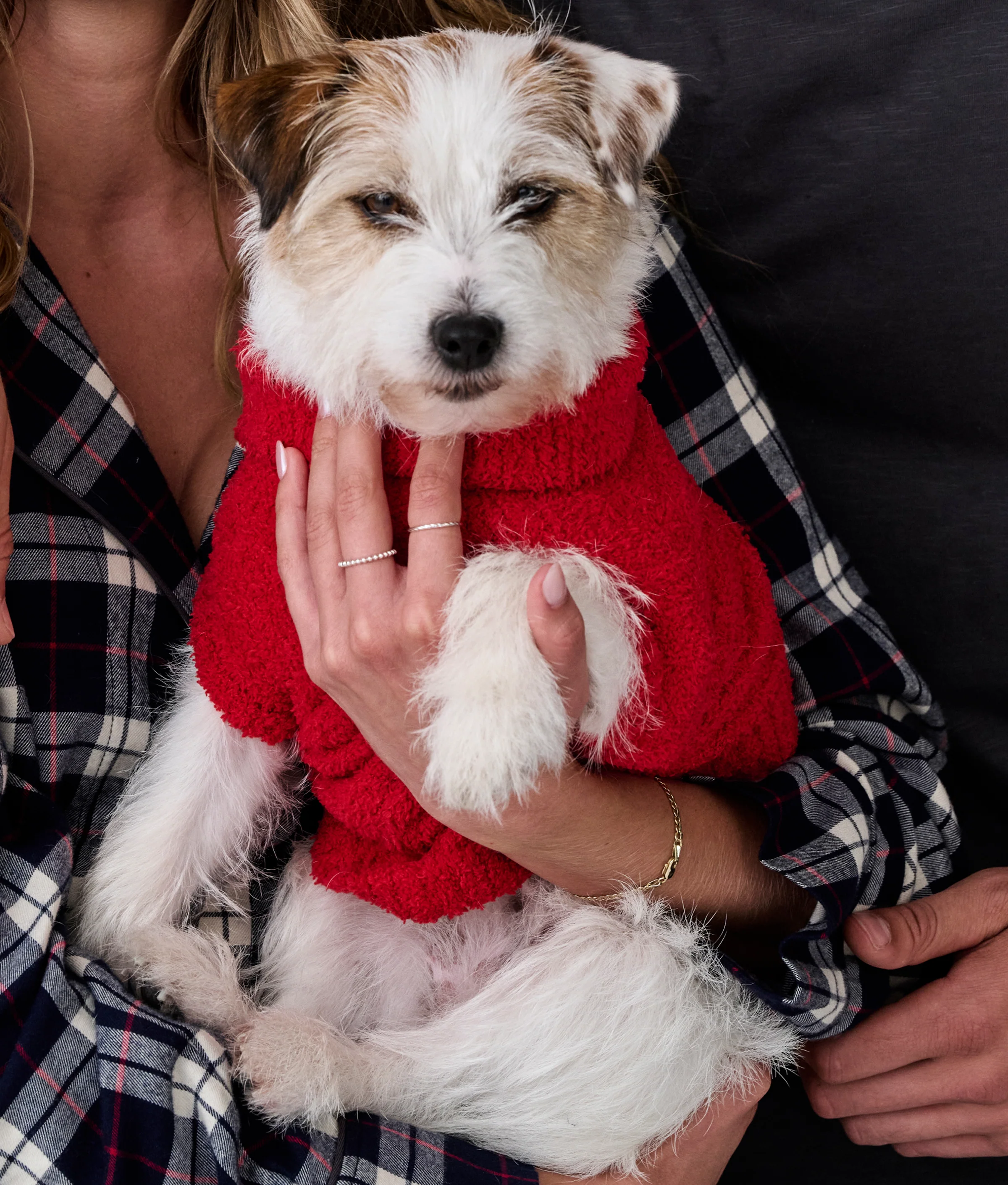 The Cozy Dog Sweater - Image 4