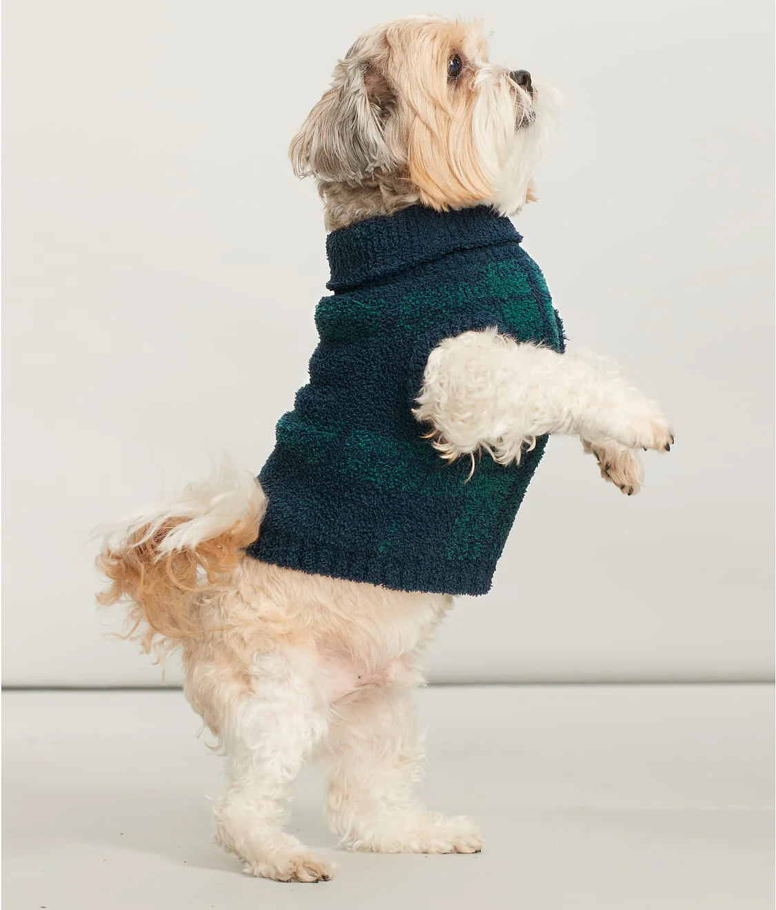 The Cozy Dog Sweater - Image 8
