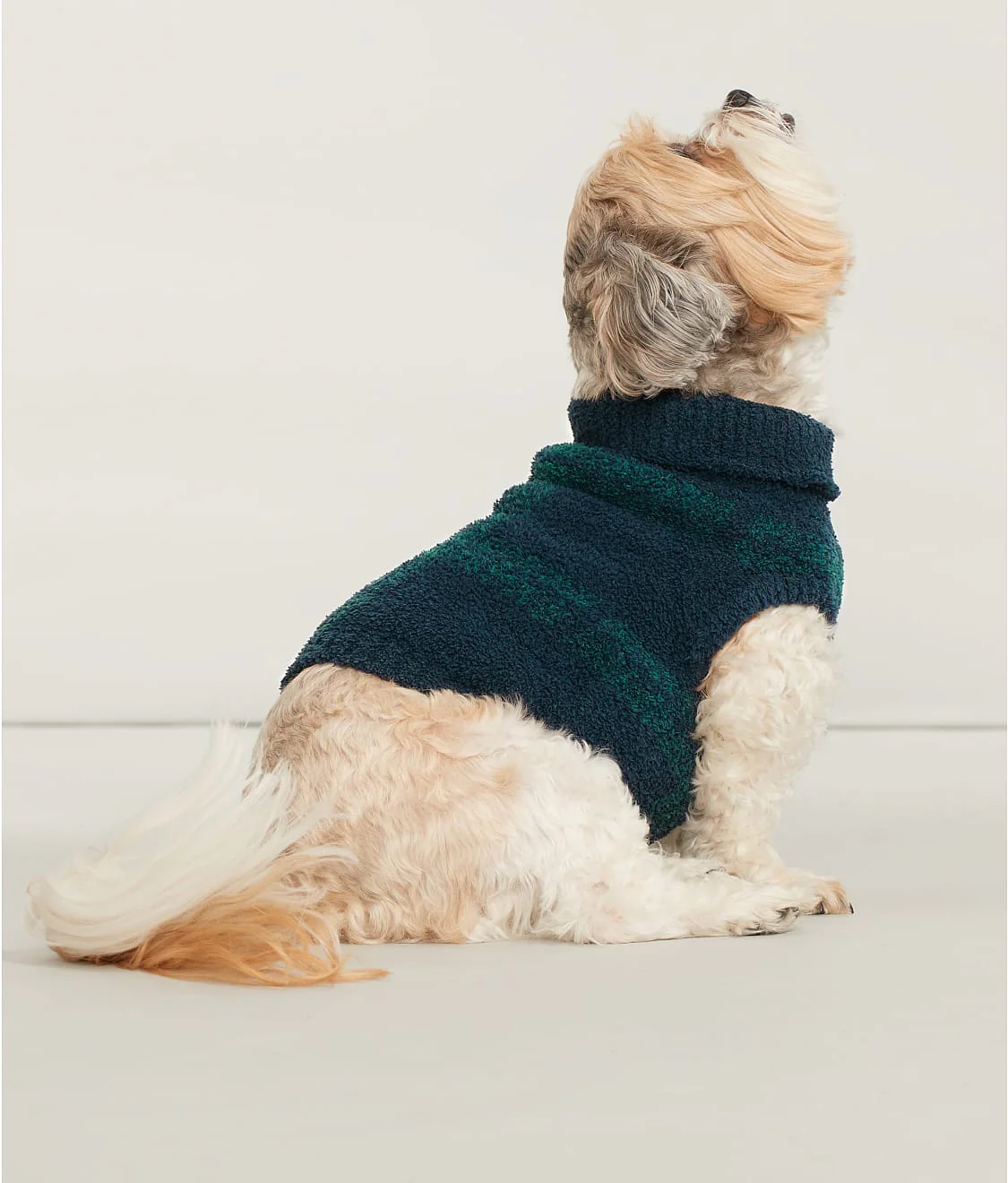 The Cozy Dog Sweater - Image 9