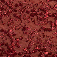 Cassiopee Brief - Image 9