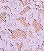 Signature Lace High-Waist Boyshort - Image 5