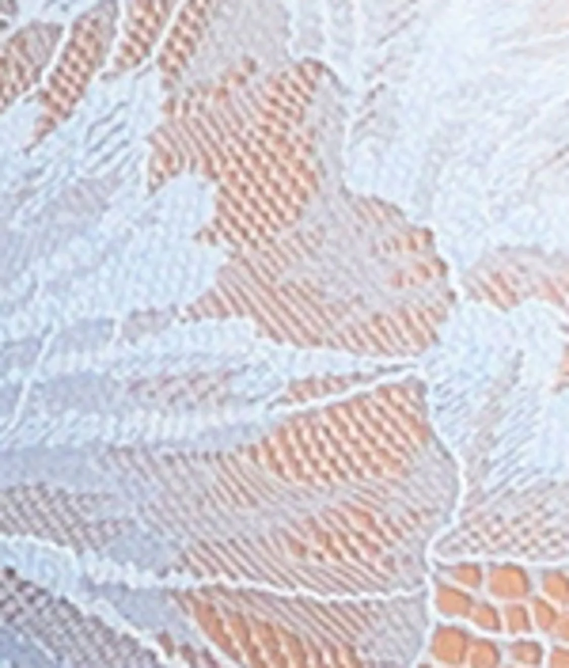 Calais Lace Plunge Bra - Image 8