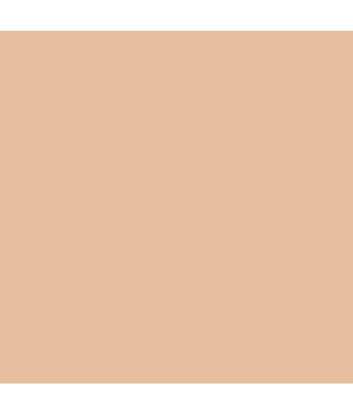 Jasmine Brief - Image 4