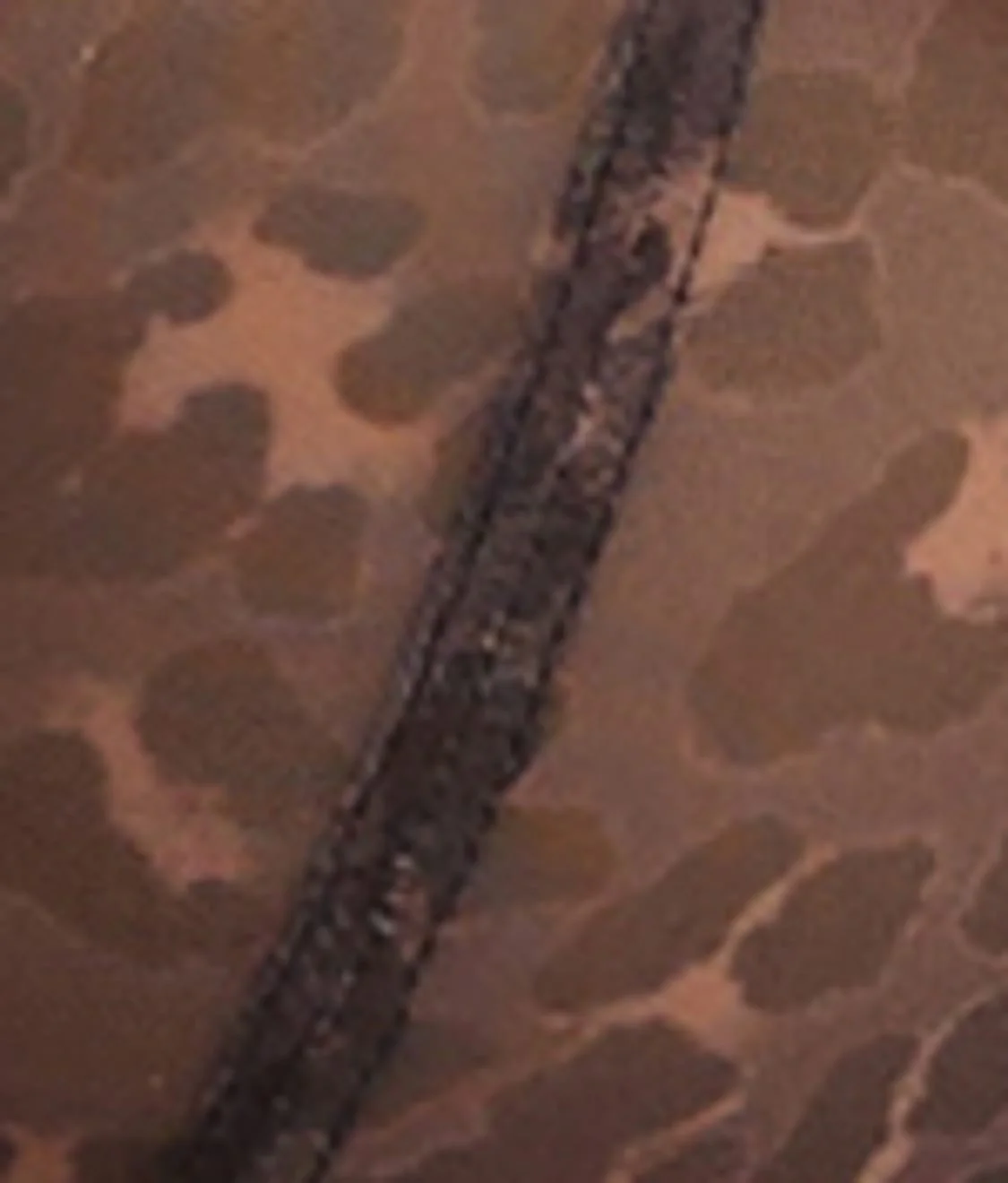 Nina Balconette Bra - Image 5