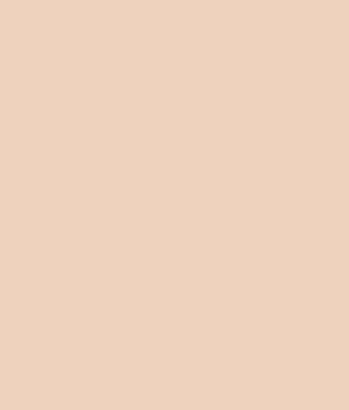 Estel High Waist Brief - Image 6