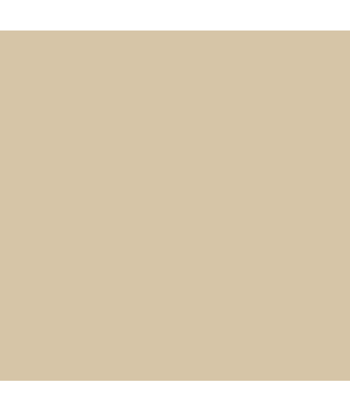 Sleek Essentials Firm Control Convertible Slip - Image 5