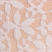 Halo Lace Brief - Image 15