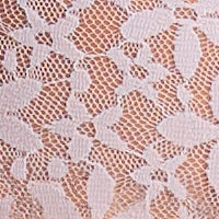 Halo Lace Hi-Cut Brief - Image 15